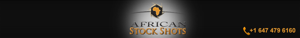 african_stock_shots_header